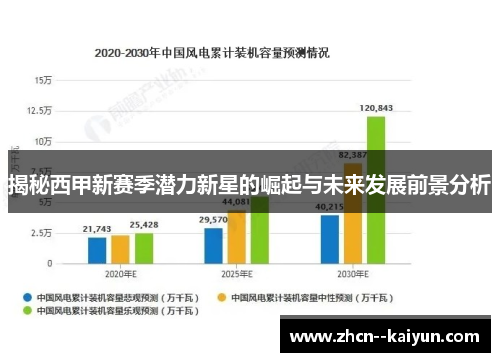 揭秘西甲新赛季潜力新星的崛起与未来发展前景分析